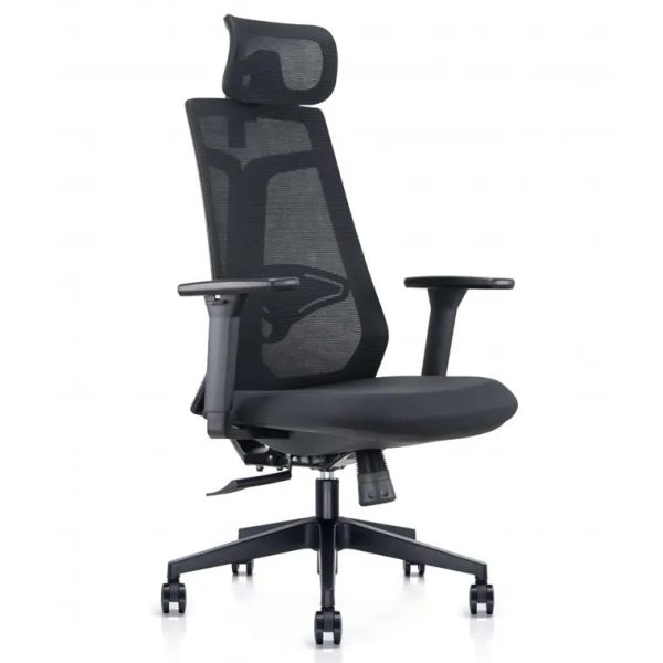 Kancelarijska stolica Ergodynamic Forma H